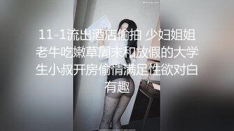 11-1流出酒店偷拍 少妇姐姐老牛吃嫩草周末和放假的大学生小叔开房偷情满足性欲对白有趣