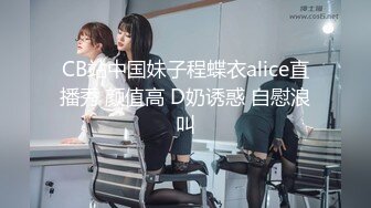 CB站中国妹子程蝶衣alice直播秀 颜值高 D奶诱惑 自慰浪叫