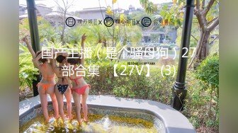 国产主播（是个骚母狗）27部合集  【27V】 (3)