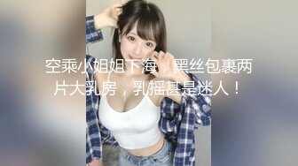 空乘小姐姐下海，黑丝包裹两片大乳房，乳摇甚是迷人！