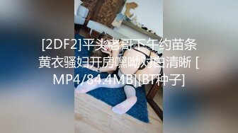 国语自产少妇精品视频