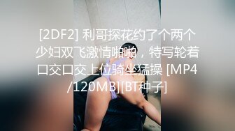 12招必学后戏宝典