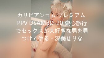 カリビアンコム プレミアム PPV DSAMBD-20 傷心旅行でセックスが大好きな男を見つけてやる - 深美せりな