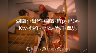 湖南小母狗-绿帽-群p-已婚-Ktv-强推-野战-孕妇-单男