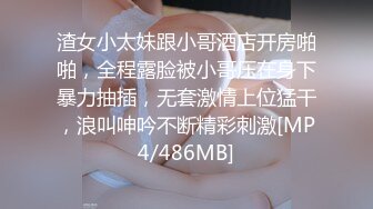 黏黏团子兔 NO.032 100里程碑奖励