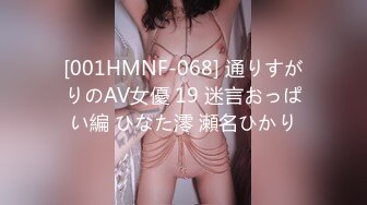 [001HMNF-068] 通りすがりのAV女優 19 迷言おっぱい編 ひなた澪 瀬名ひかり