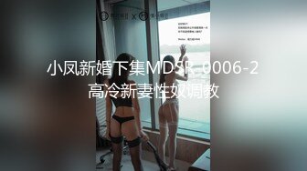 小凤新婚下集MDSR-0006-2高冷新妻性奴调教