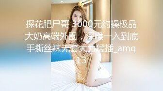 探花肥尸哥 3000元约操极品大奶高端外围，深喉一入到底手撕丝袜无套大力猛插_amq13