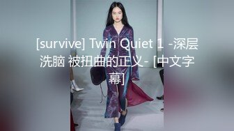 [survive] Twin Quiet 1 -深层洗脑 被扭曲的正义- [中文字幕]