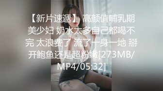 FSOG-027 性瘾患者