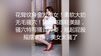 继续我的骚老婆