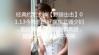 经典约啪大神【野狼出击】01.13今晚约战好爽东北骚少妇，圆挺爆乳，做爱激情奔放，操到大汗淋漓，干不停.