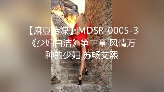 【麻豆传媒】MDSR-0005-3《少妇白洁》第三章 风情万种的少妇 苏畅艾熙